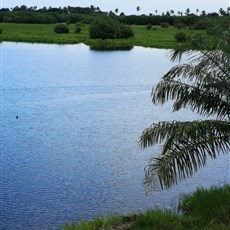 Cotonou to Ouidah