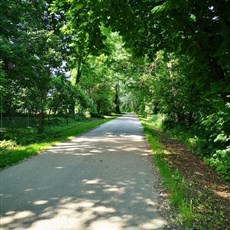 Kogutowo to Krakow