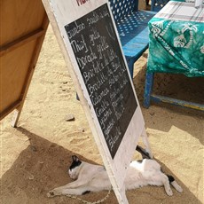 Gorée Island, Dakar