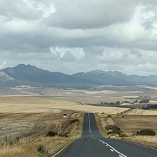 Between Mossel Bay and Hermanus