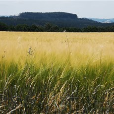 Zruč nad Sázavou to east of Tabor
