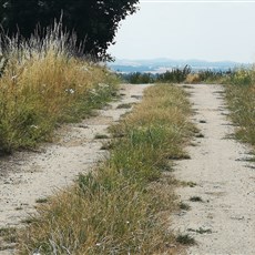 Zruč nad Sázavou to east of Tabor