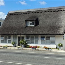 Hermanus 
