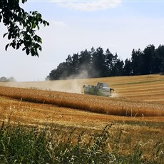 Zruč nad Sázavou to east of Tabor