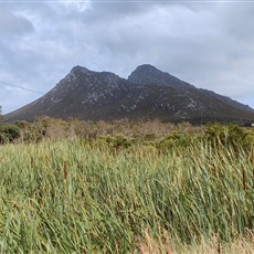 Between Pringle Bay and Cape Town