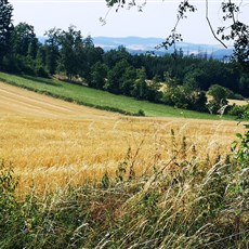 Zruč nad Sázavou to east of Tabor