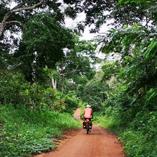 Chinese camp to Boumnyebel