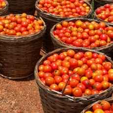 Ouidah to border