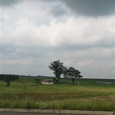 Carolina to Chrissiesmeer