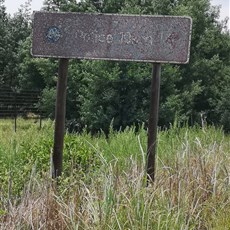 Carolina to Chrissiesmeer