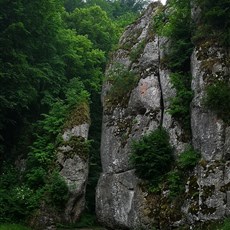 Ojcowski National Park