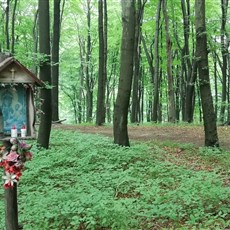 En route Bedkowska