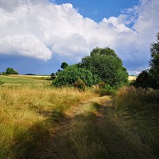 East of Tibor to Ondřejov