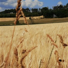 East of Tibor to Ondřejov