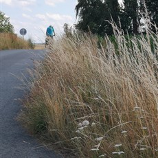 East of Tibor to Ondřejov