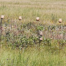 Chrissiesmeer to Ermelo