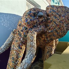 Bo-Kaap, Cape Town