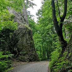En route Bedkowska