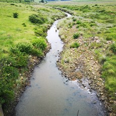 Chrissiesmeer to Ermelo