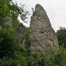 En route Bedkowska