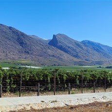Between Cape Town and Graaff-Reinet