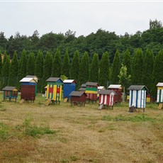 En route Oświęcim