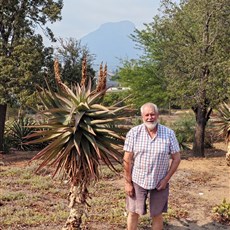 Graaff-Reinet