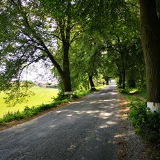 Near Řásná to near Staré Hobzí