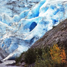 Exit Glacier, Alaska