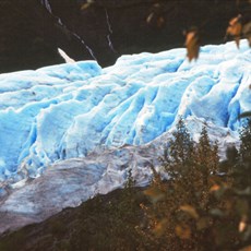 Exit Glacier, Alaska