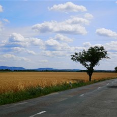 Štítary to Brod nad Dyji