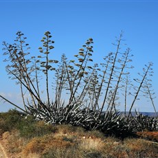 Potfontein to De Aar