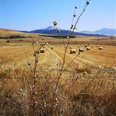 Bitola to Prilep