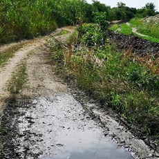 Brod nad Dyji to Lednice