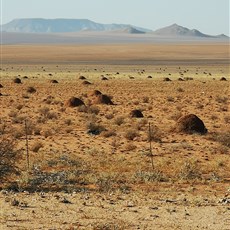 Aus to Biltong Plaas, Kuibis