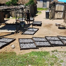 Cape Coast to Elmina