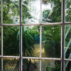 Lednice castle gardens