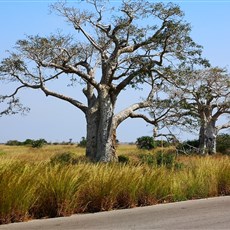 Wild camp to Cabo Ledo