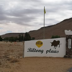 Biltong Plaas, Kuibis