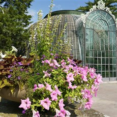 Lednice castle gardens