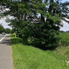Gliwice to Opole