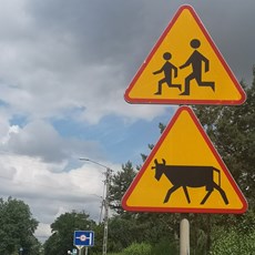Opole to Wrocław