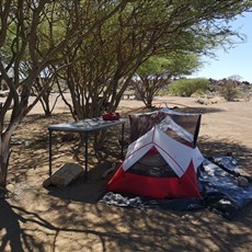 Garas Quiver Farm, 22km north of Keetmanshoop