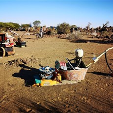 Garas Quiver Farm, 22km north of Keetmanshoop