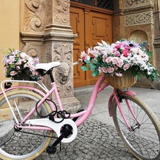 Wrocław
