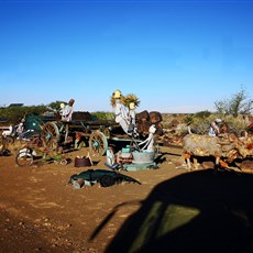 Garas Quiver Farm