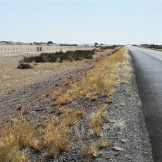 Gibeon to Mariental