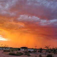 Last night's storm