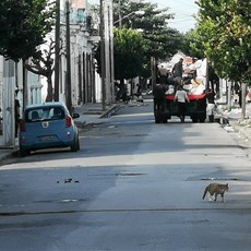 Cienfuegos