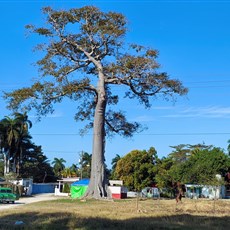 Cienfuegos to Santa Clara